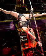    Exotic Dance 01.12.2013 ( 