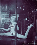    Exotic Dance 01.12.2013 ( 