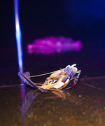 �������� ������� ������ 30 ���� 2012 �.